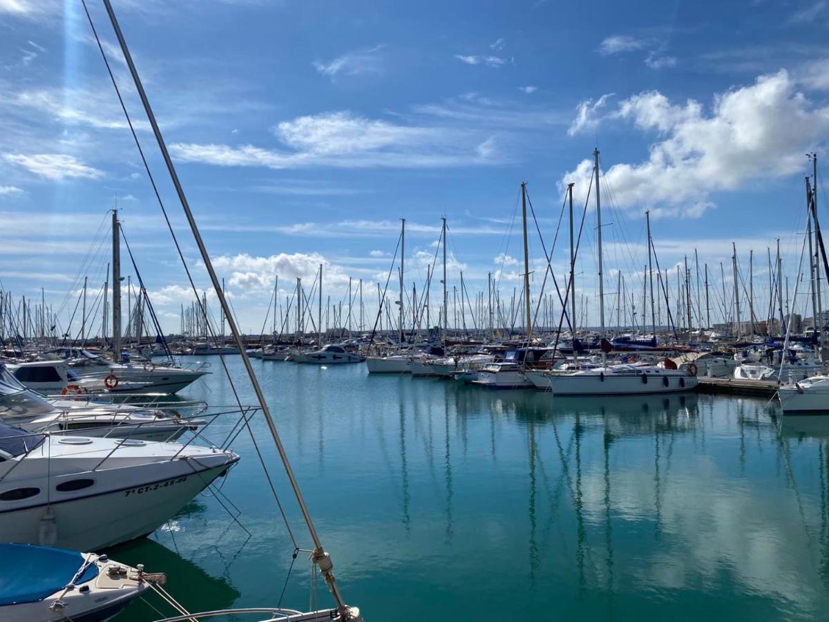 Nice And New Furnished Apartments In Torrevieja Centre 外观 照片